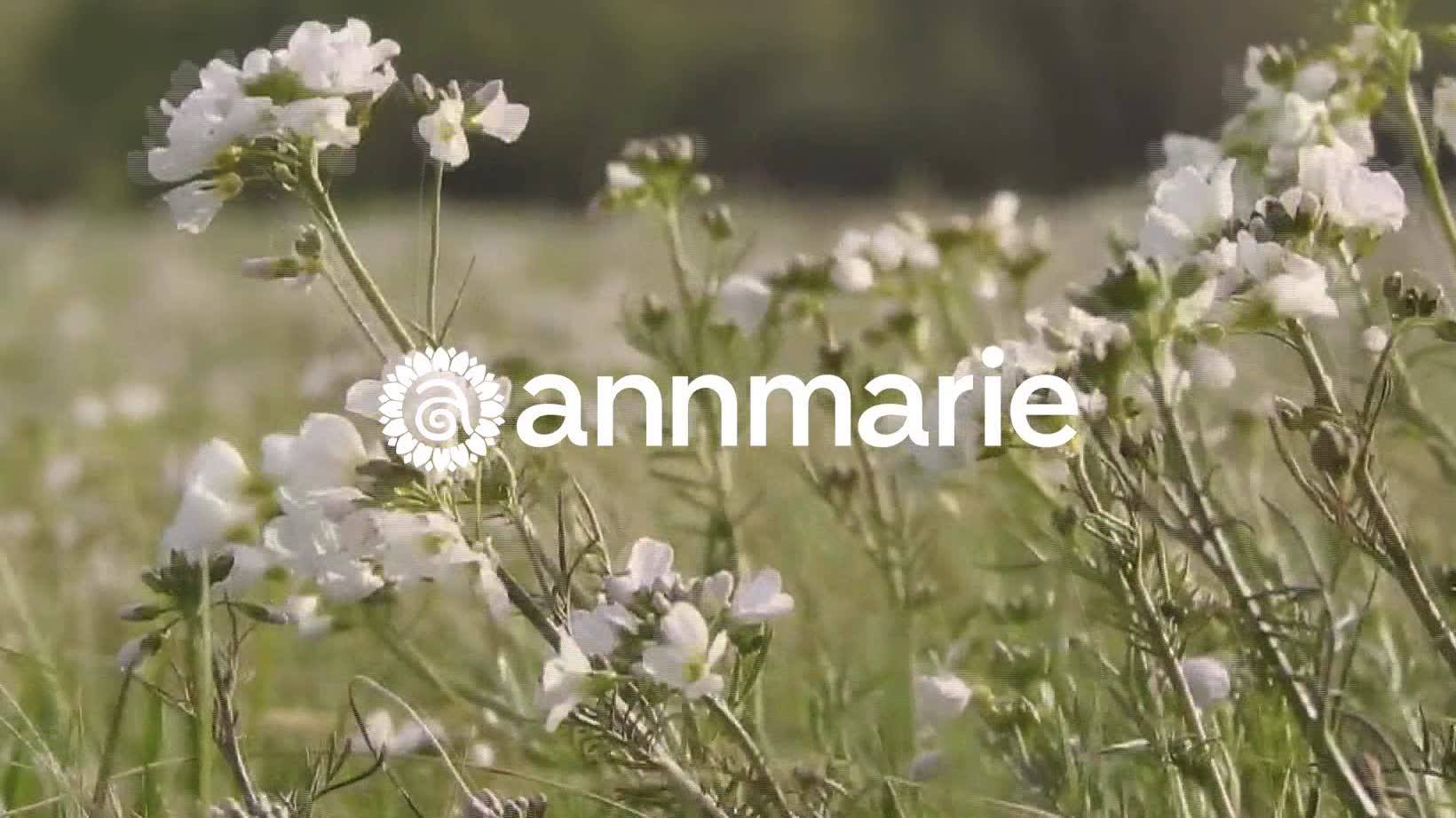 Annmarie Skin Care